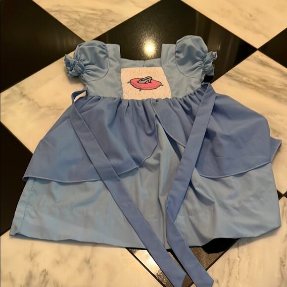 Charming Cinderella Blue Dress with Pink Embroidery